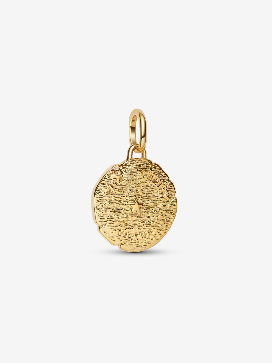 Pandora Lion Medallion Charm 14k gold plating
